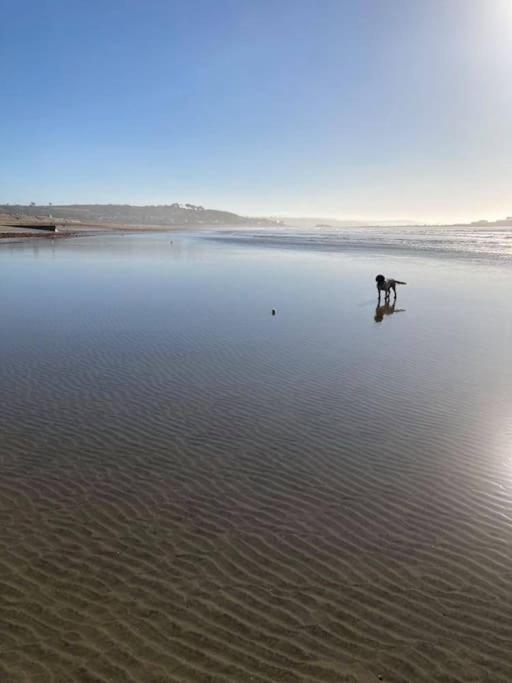 Modern Studio Apartment With Outstanding Views, Sleeps 2 Newlyn Bagian luar foto